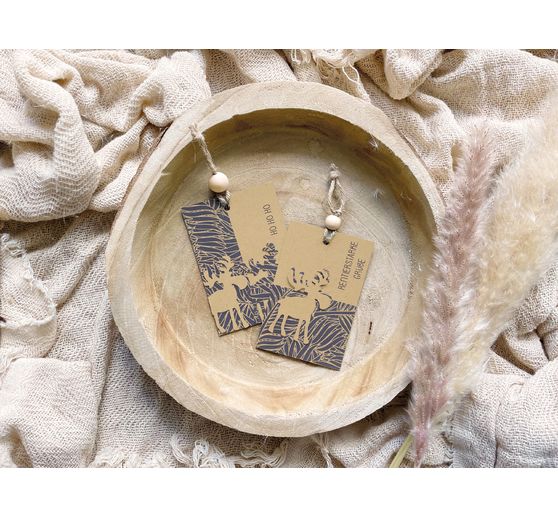 Vintage photo cardboard "Palm frond"