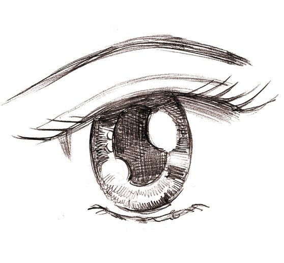 Book "Manga Step by Step - Basiskurs"