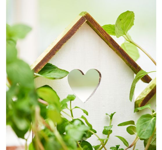 KREUL Wood stain "Basic Set", 6 colours à 20 ml