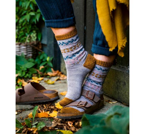 Book "Der Socken-Kompass"