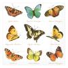 Napkin "Butterflies"