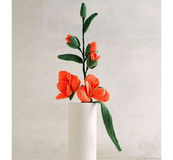 Kniha "Häkeln so bunt wie die Natur"