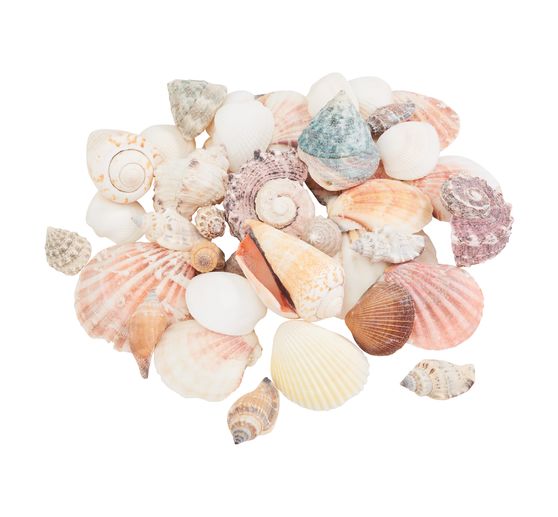 Sea shell mix "Nature"
