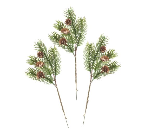 Ušlechtilý jedlový trs "Tessy" se šiškou