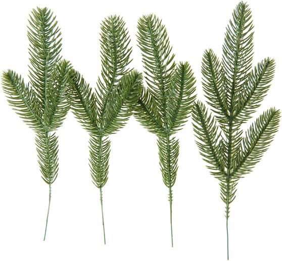 Jedlová větev VBS se 3 krajkami