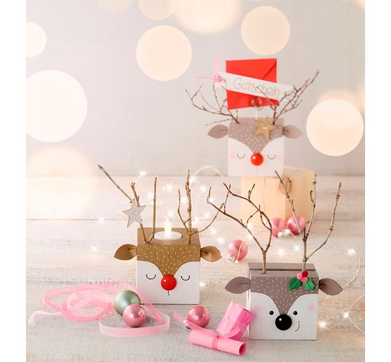 Book "Die Würfel-Bande"