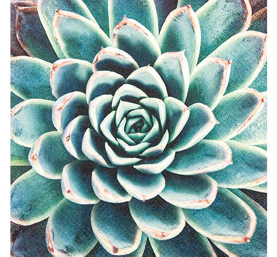 Ubrousek "Succulent dream