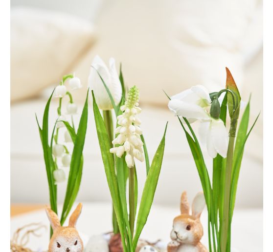 Spring flowers mix with bulb