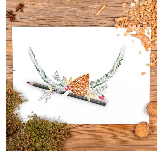 Staedtler Watercolour pencils tinted, set of 12