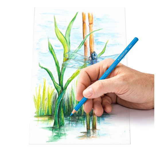 Staedtler Watercolour coloured pencils, set of 12