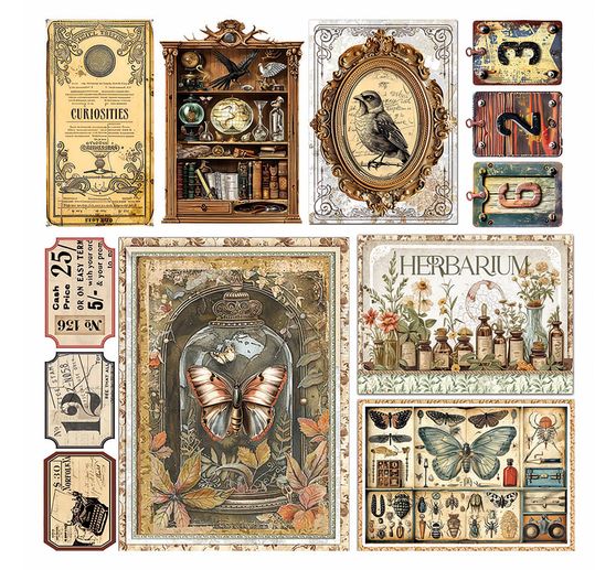 Vellum Paper "Cabinet of Curiosities"