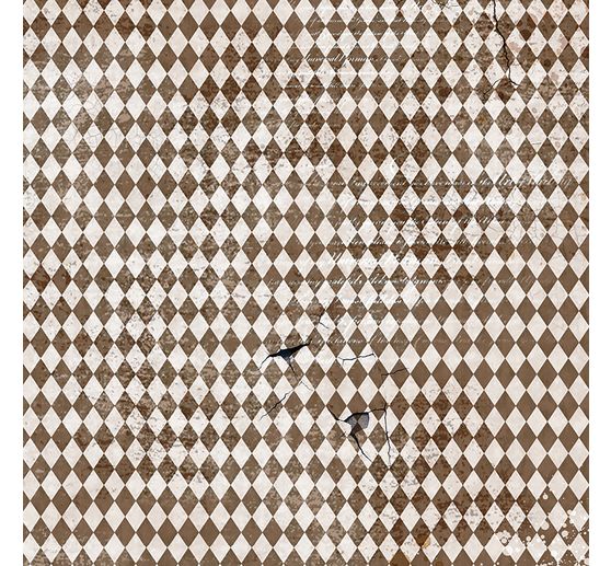 Vellum Paper "Cabinet of Curiosities"