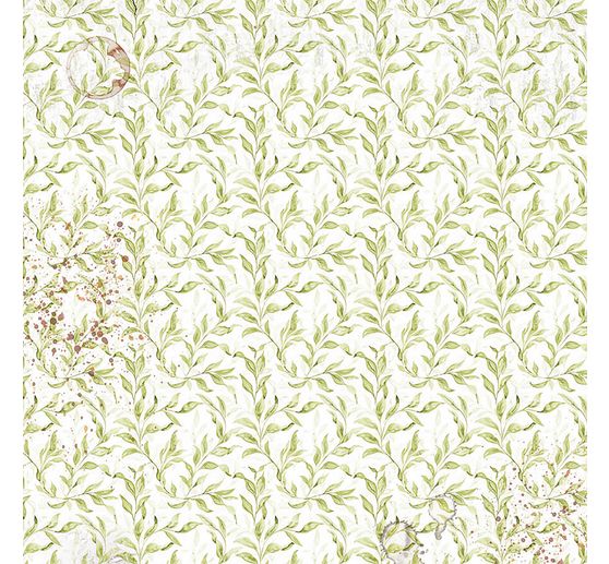 Vellum Paper "Cabinet of Curiosities"