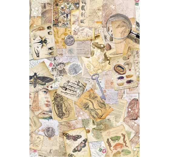 Sada 8 slámových hedvábí s motivem "Carbinet of Curiosities"