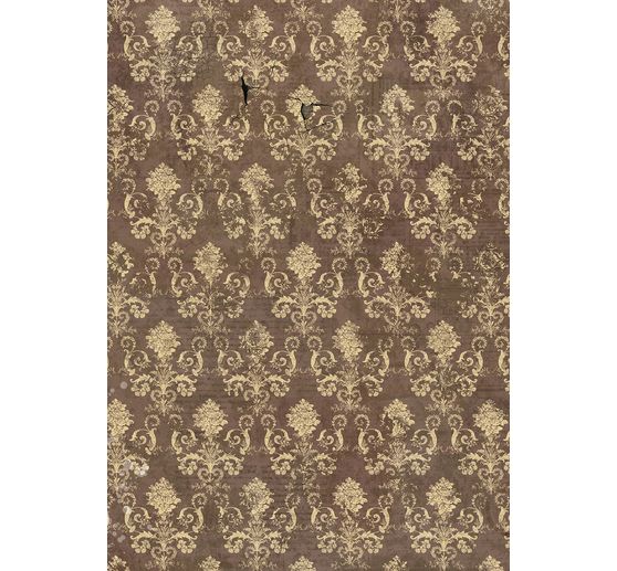 Sada 8 slámových hedvábí s motivem "Carbinet of Curiosities"