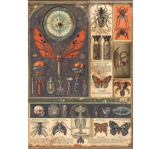 Sada 8 slámových hedvábí s motivem "Carbinet of Curiosities"