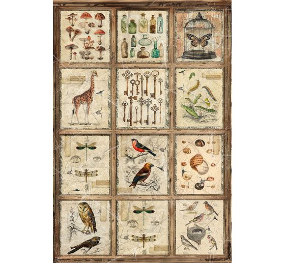 "Kabinet kuriozit", sada 4 kusů slámových hedvábných motivů