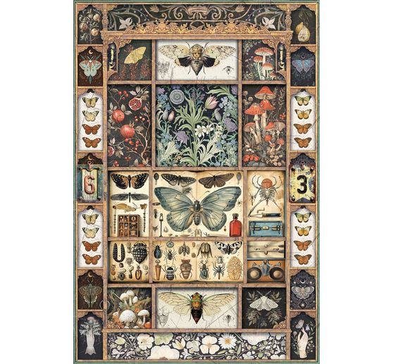 "Kabinet kuriozit", sada 4 kusů slámových hedvábných motivů