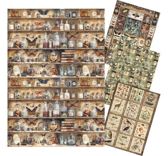 "Kabinet kuriozit", sada 4 kusů slámových hedvábných motivů