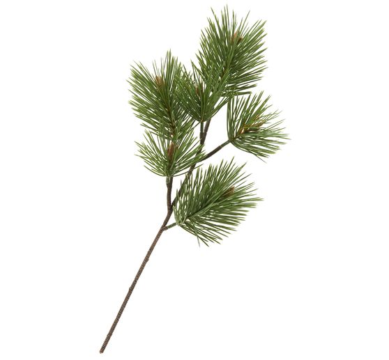 Pine branch "Doro"