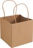 Paper plant bag, waterproof