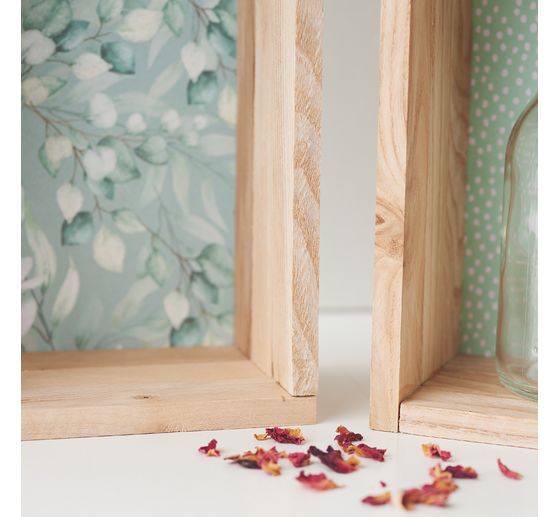 Karton s motivem "Eukalyptus"