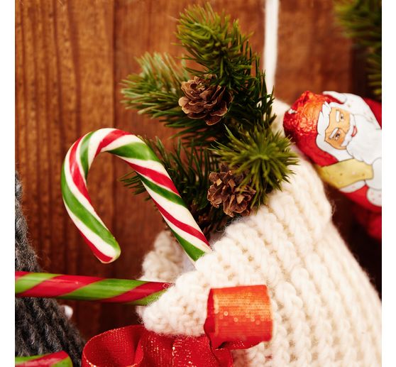 Ušlechtilý jedlový trs "Tessy" se šiškou