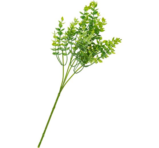 Eukalyptov&yacute; keř, green