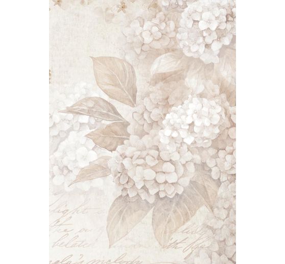 Motiv r&yacute;žov&yacute; pap&iacute;r backgrounds "Quiet Days"