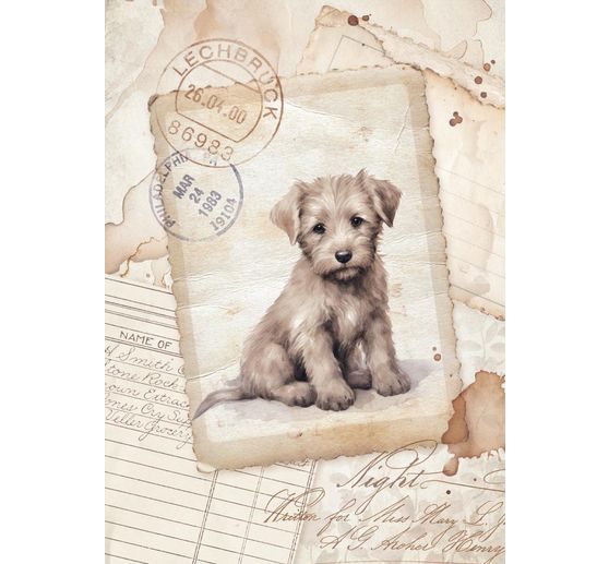 Motiv r&yacute;žov&yacute; pap&iacute;r sada "Quiet Days"