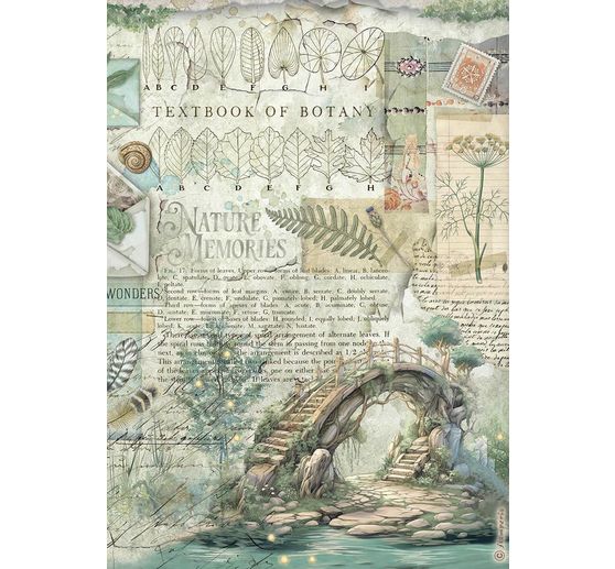 Motiv r&yacute;žov&yacute; pap&iacute;r sada "Herbarium Silvae", 6 ks