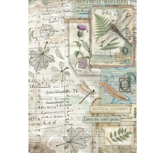 Motiv r&yacute;žov&yacute; pap&iacute;r sada "Herbarium Silvae", 6 ks