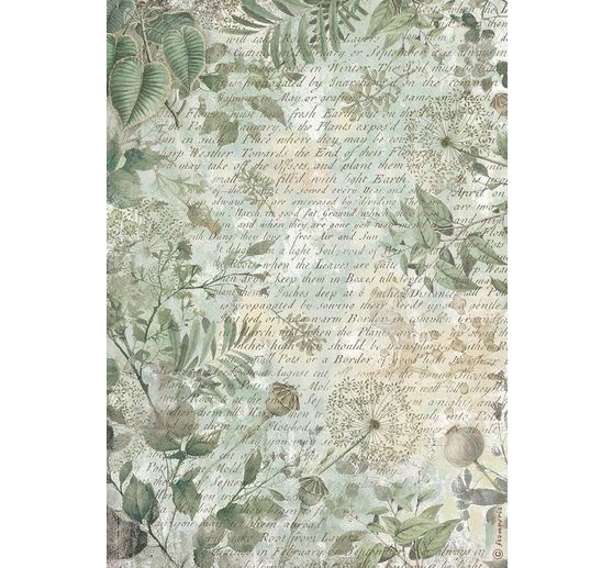 Motiv r&yacute;žov&yacute; pap&iacute;r sada "Herbarium Silvae", 6 ks