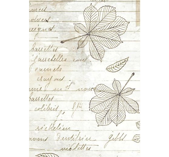 Motiv r&yacute;žov&yacute; pap&iacute;r backgrounds "Herbarium Silvae", sada 8 kusů