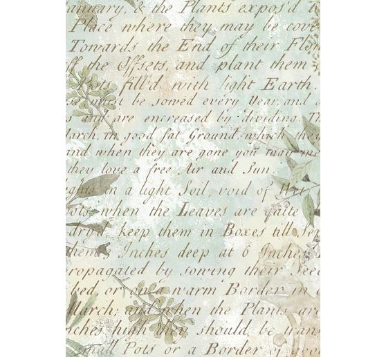 Motiv r&yacute;žov&yacute; pap&iacute;r backgrounds "Herbarium Silvae", sada 8 kusů