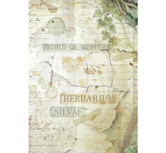 Motiv r&yacute;žov&yacute; pap&iacute;r backgrounds "Herbarium Silvae", sada 8 kusů