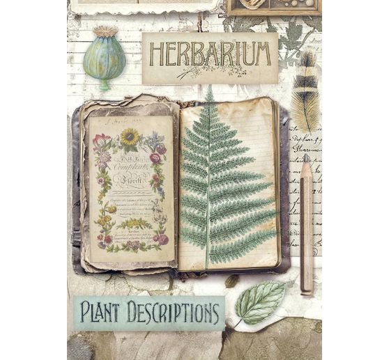 Motiv r&yacute;žov&yacute; pap&iacute;r sada "Herbarium Silvae", sada 8 kusů