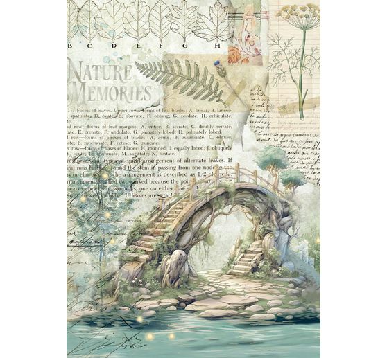 Motiv r&yacute;žov&yacute; pap&iacute;r sada "Herbarium Silvae", sada 8 kusů