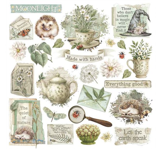 Rub On assortment "Herbarium Silvae"