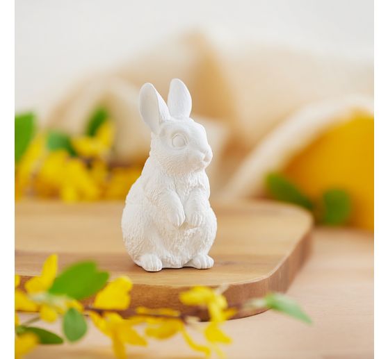 VBS Odl&eacute;vac&iacute; sada "Kr&aacute;l&iacute;ček"