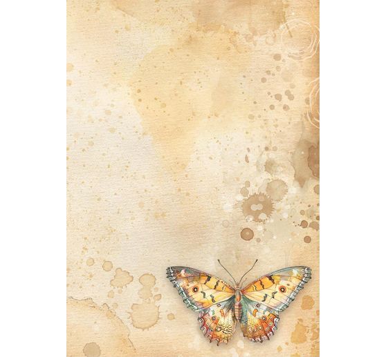 Motiv r&yacute;žov&yacute; pap&iacute;r sada sortiment "Daisy Art", sada 8 ks