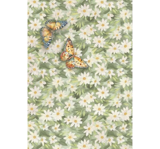 Motiv r&yacute;žov&yacute; pap&iacute;r sada sortiment "Daisy Art", sada 8 ks