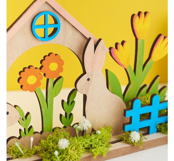 VBS Iceland moss, 100 g