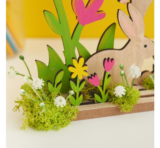 Pole vdova květina "Evergreen"