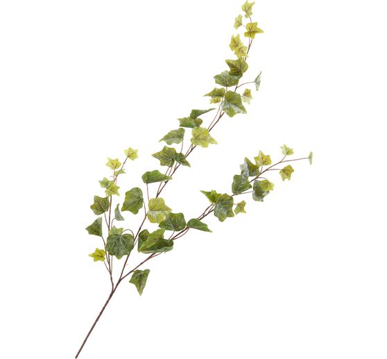 Břečťanov&yacute; z&aacute;věs