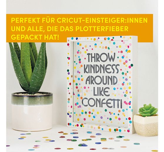 Book "Cricut DIYs"