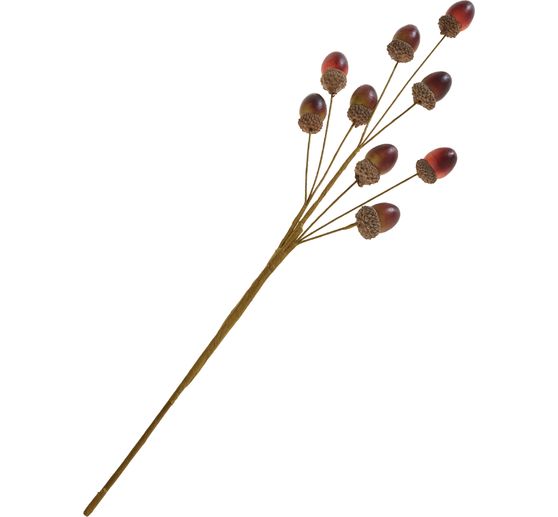 Acorn twig