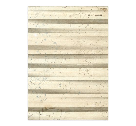 A5 Junk Journal Focus Points Stamperia "Symphony"