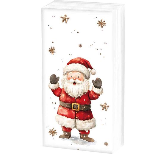 Pap&iacute;rov&eacute; kapesn&iacute;ky "Santa ve sněhu"