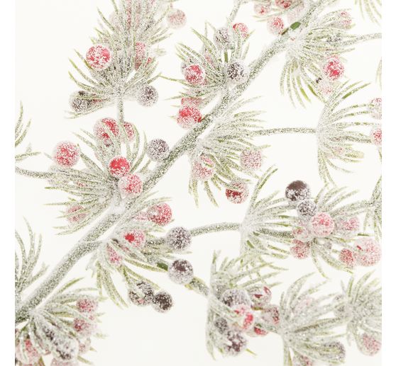 Pine branch with berries
